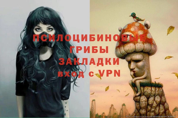 ECSTASY Пестово