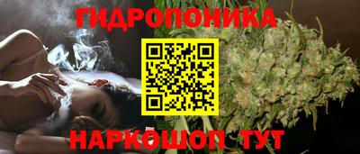 гашик Изобильный