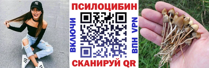 Галлюциногенные грибы прущие грибы mega ONION Тосно купить закладку