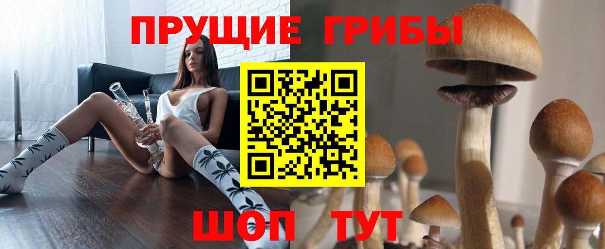 Псилоцибиновые грибы Magic Shrooms  Вход с VPN  наркошоп  Тосно  Псилоцибиновые грибы MAGIC MUSHROOMS 