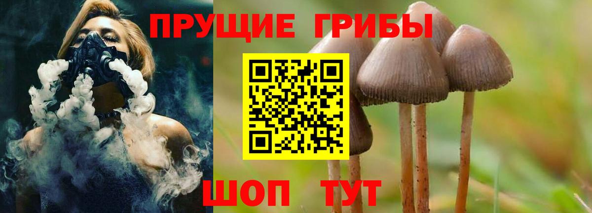 Псилоцибиновые грибы Magic Shrooms Тосно