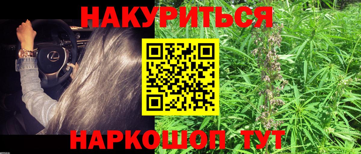 Канабис семена  Тосно  Бошки марихуана AK-47  Каннабис конопля 